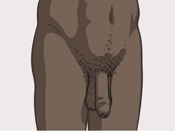 erecție în poziție în picioare omul ținându  și penisul