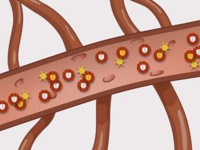 Darstellung eines Blutgefäßes im Detail mit HIV-Viruszellen, die die weißen Blutkörperchen angreifen