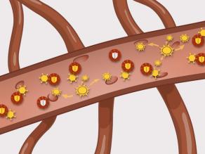 Detail of a blood vessel with a lot of HIV virus and only a few white blood cells left. The body cannot defend itself any more against infections.