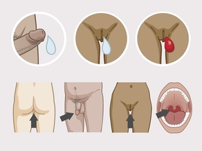 Зараженные сперма, влагалищная смазка и менструальная кровь могут попасть в организм другого человека через слизистую оболочку ануса, головки пениса, влагалища и рта.