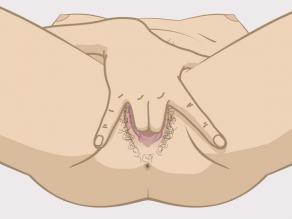 Detail van een vrouw die masturbeert voorbeeld 1: vingers in de vagina steken en ze rond bewegen