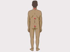 Man’s back with indication of the erogenous zones