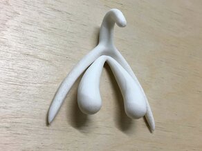 Model van de volledige clitoris
